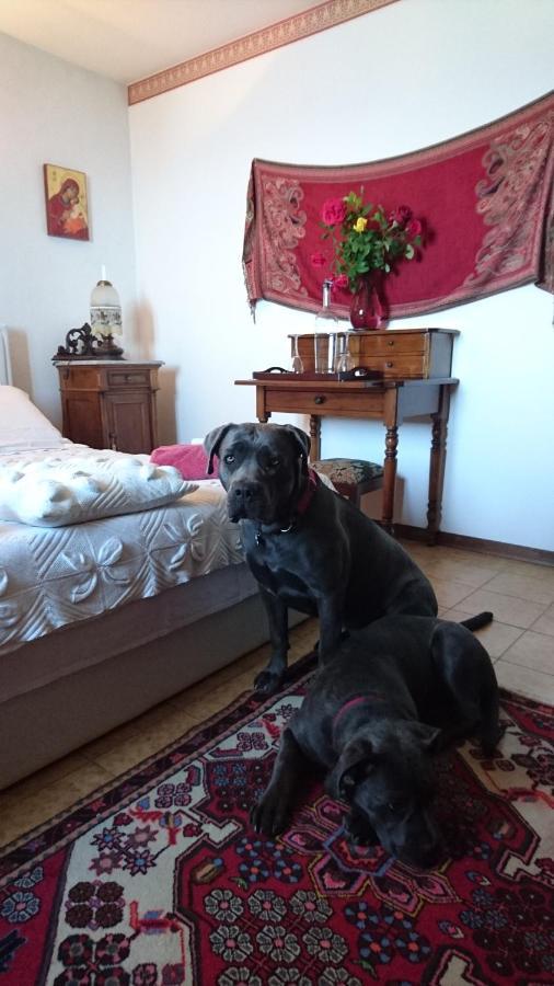 B&B Da Paolo Con Vista Lago Di Garda Сан-Дзено-ди-Монтанья Экстерьер фото